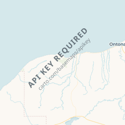 NE map tile
